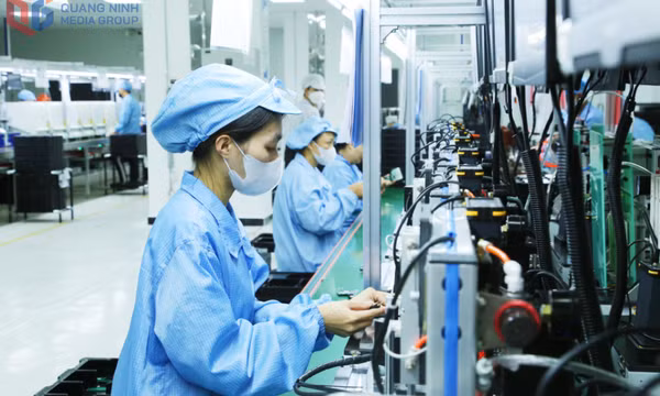 Mở đường cho công nghiệp chế biến, chế tạo Quảng Ninh tham gia sâu hơn vào chuỗi giá trị toàn cầu