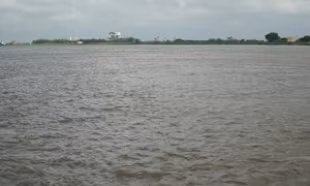 Một cán bộ biên phòng ở Ninh Bình tử vong trong khi làm nhiệm vụ