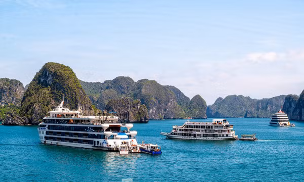 Bản tin vùng Đông Bắc ngày 29/8/2025