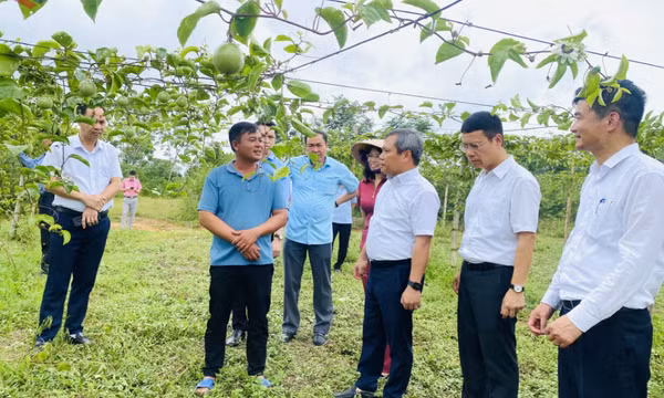 Tầm vóc mới của các xã, phường, đặc khu