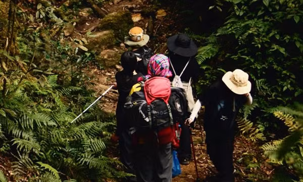 Thử sức trekking xuyên rừng chinh phục đỉnh Sa Mu đẹp như cổ tích