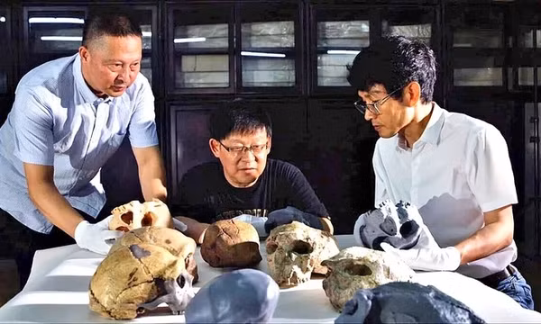 Phát hiện mới về loài người, lịch sử tiến hóa phải viết lại?