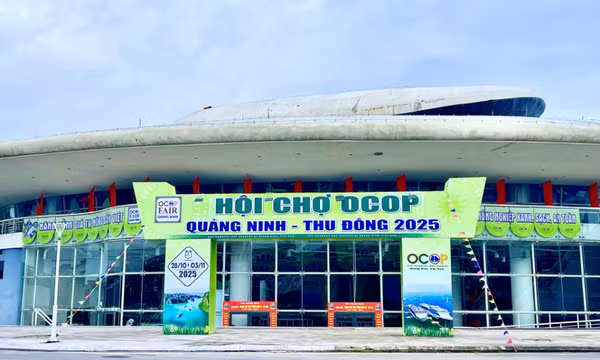 Bản tin vùng Đông Bắc ngày 28/10/2025