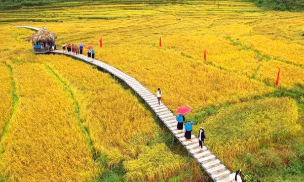 Ngày 2/11, khai hội Mùa vàng miền soóng cọ xã Đông Ngũ