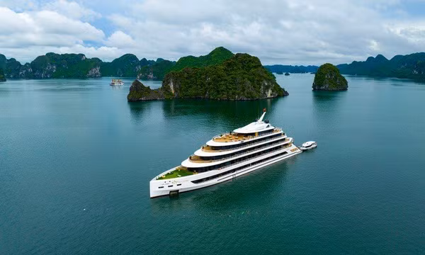 4 tour Hạ Long ‘sang – chill – chất’ khiến ai cũng muốn xách va li lên đường