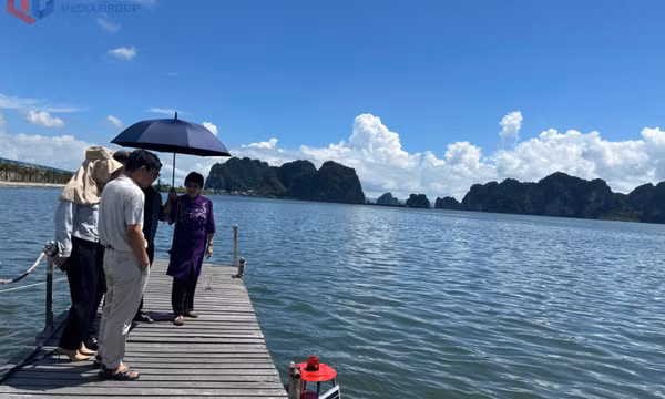 Khảo sát đề tài lĩnh vực nông, lâm, ngư nghiệp, tài nguyên và môi trường