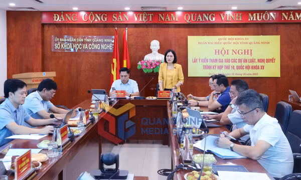 Đoàn ĐBQH tỉnh lấy ý kiến tham gia vào các dự án luật, nghị quyết, tháng 10-2025