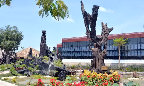 Lạc lối giữa thế giới gỗ lũa trầm thủy giữa sông nước An Giang