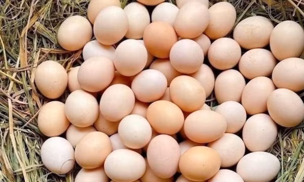 Sự thật về quá trình giảm cân bị ảnh hưởng do ăn quá nhiều trứng