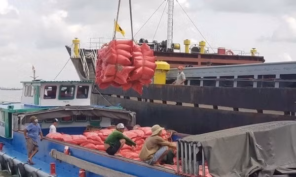 Doanh nghiệp Việt làm gì khi Philippines tính kéo dài lệnh cấm nhập khẩu gạo?