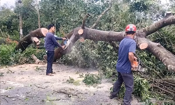 Ủy ban MTTQ Việt Nam tỉnh Quảng Ninh kịp thời hỗ trợ các tỉnh miền Trung và người dân trong tỉnh khắc phục hậu quả bão số 10 – Bualoi