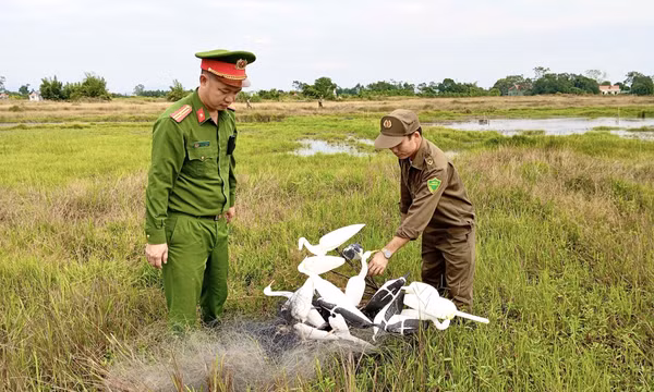 Quảng Hà thu giữ hơn 500m lưới và dụng cụ đánh bắt chim di cư 