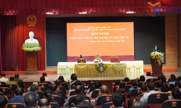 Đoàn ĐBQH tỉnh tiếp xúc cử tri 14 phường, xã trước Kỳ họp thứ 10, Quốc hội khóa XV