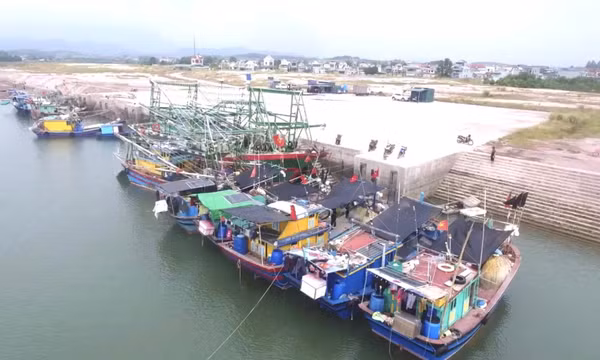 Sẽ đầu tư xây dựng Khu neo đậu tránh trú bão tàu cá Tiến Tới kết hợp cảng cá loại III tại xã Đường Hoa