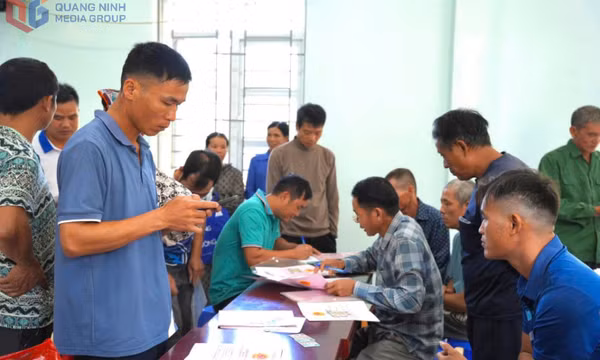  Quảng Ninh đã có gần 230.000 thửa đất được thu thập thông tin 