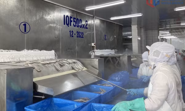 Phấn đấu nâng số lượng doanh nghiệp KHCN