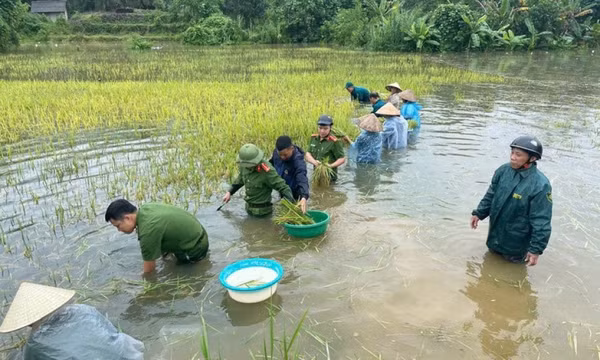 Thủ tướng Chính phủ chỉ đạo khẩn trương khắc phục hậu quả bão số 10 và mưa lũ sau bão