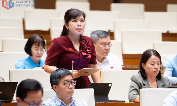  Phó Trưởng Đoàn ĐBQH tỉnh Quảng Ninh góp ý xây dựng các dự án luật trình Kỳ họp thứ 10