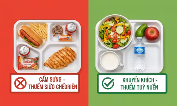 Mỹ: Bang California mạnh tay loại bỏ thực phẩm siêu chế biến khỏi bữa ăn học đường