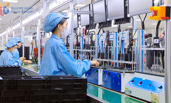 Quyết tâm vượt chỉ tiêu thu ngân sách nhà nước