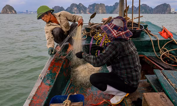 Hơn 30 năm gắn bó với biển