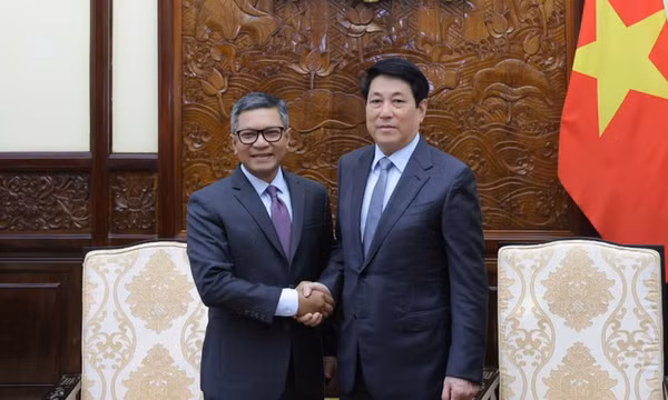 Chủ tịch nước tiếp Đại sứ các nước Indonesia và Singapore đến chào từ biệt