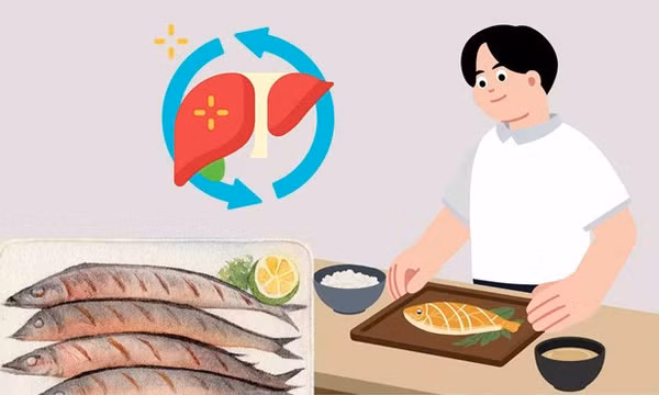 4 loại cá giúp bồi bổ chức năng gan