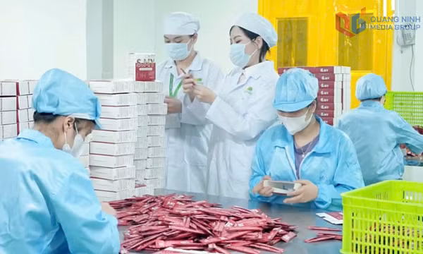Cộng đồng doanh nhân trẻ Quảng Ninh bản lĩnh tạo đột phá