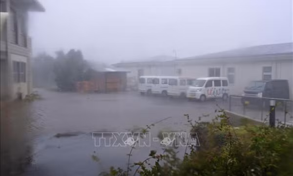 Bão Halong gây mưa kỷ lục và gió giật gần 200 km/h tại Nhật Bản