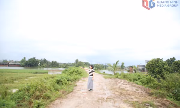 Củng cố đê điều, không để bị động trước thiên tai
