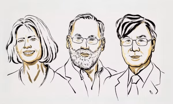Mở màn Nobel 2025: Lĩnh vực y sinh vinh danh 3 nhà khoa học Mỹ và Nhật Bản