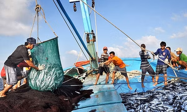 Thủ tướng yêu cầu tập trung thực hiện tháng cao điểm chống khai thác hải sản bất hợp pháp