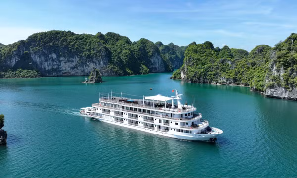Chuyến đi gắn kết thế hệ trên du thuyền vịnh Hạ Long dịp năm mới
