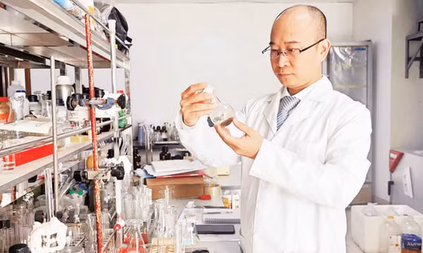 Nuôi cấy đông trùng hạ thảo trên côn trùng