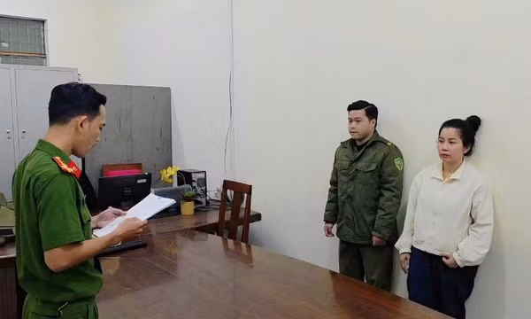 Công an Đà Nẵng triệt phá đường dây buôn lậu tôm hùm giống qua đường hàng không trị giá gần 6,8 tỷ đồng