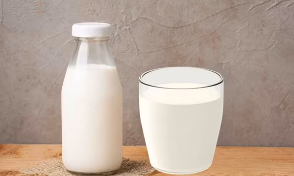 Uống sữa tươi mỗi ngày cần lưu ý 2 điều để không dư thừa chất