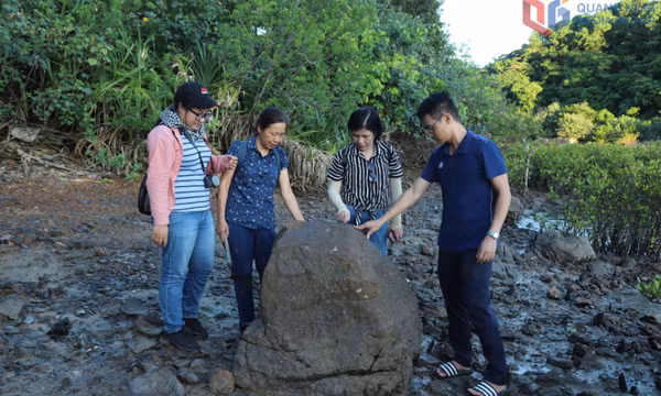 Theo chân các nhà khảo cổ "giải mã" Thương cảng Vân Đồn