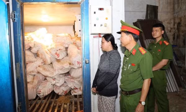 Khởi tố đối tượng mua gom, chế biến 12 tấn heo chết do dịch tả lợn châu Phi để đem bán