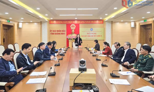 Liên hiệp các tổ chức hữu nghị tỉnh triển khai nhiệm vụ năm 2026