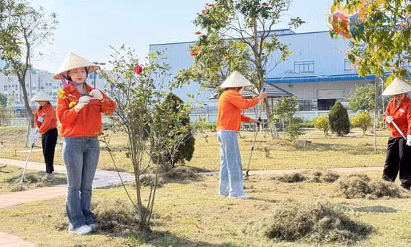 Lan tỏa sắc xanh trong doanh nghiệp
