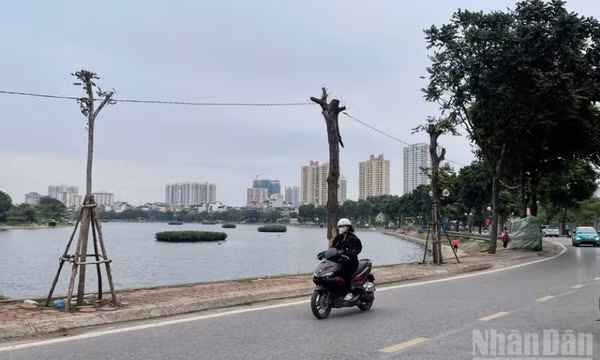 Thời tiết ngày 22/1: Bắc Bộ rét đậm, có nơi rét hại; vùng núi cao đề phòng băng giá