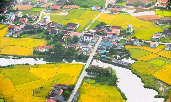 Màu no ấm