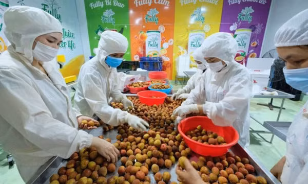 Xuất khẩu nông sản phấn đấu đạt 40 tỉ USD năm 2026