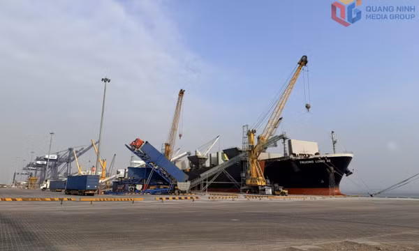 Sôi động sản xuất đầu năm