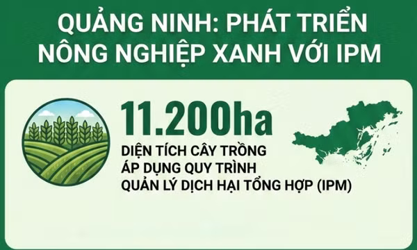 11.200ha - là diện tích cây trồng đã áp dụng quy trình quản lý dịch hại tổng hợp trên toàn tỉnh hiện nay