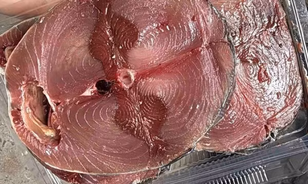 5 loại cá giúp phục hồi gan nên ăn thường xuyên