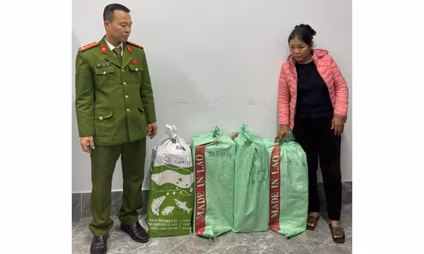 Thu giữ 1.548 bao thuốc lá nhập lậu