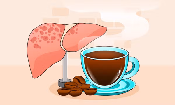 Một loại đồ uống quen thuộc hỗ trợ cải thiện gan nhiễm mỡ