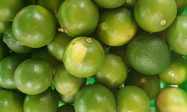 Những người nên uống nước chanh ấm thường xuyên