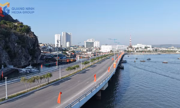 Lan tỏa sắc xuân trên từng con phố